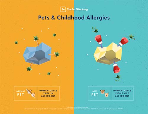 Pets & Childhood Allergies