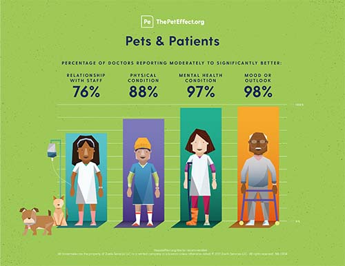 Pets & Patients