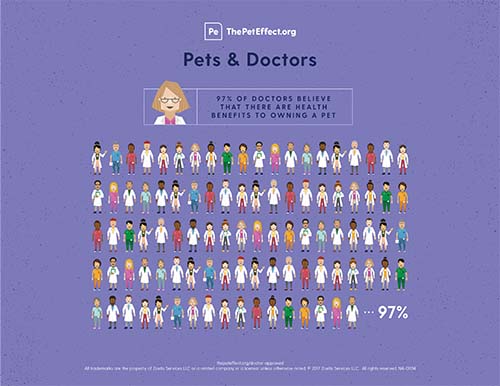 Pets & Doctors