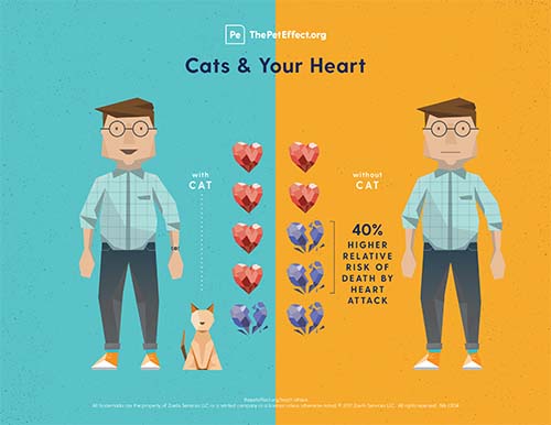 Cats & Your Heart