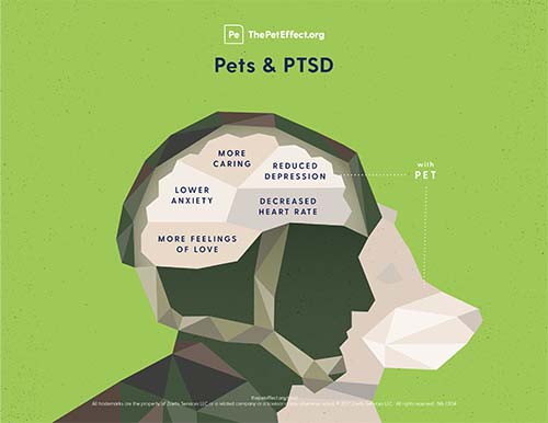 Pets & PTSD