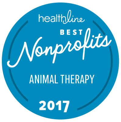 Healthline's Best Nonprofits 2017 - Animal Therapy